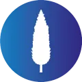 Logo Surciprés