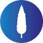 Logo Surciprés