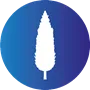 Logo Surciprés